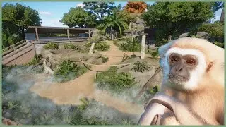 🐒Lar Gibbon habitat | Soliuko Zoo | Planet Zoo | speedbuild🍁