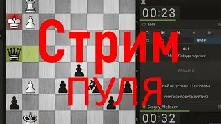 Шахматы. Пуля, турнир на lichess