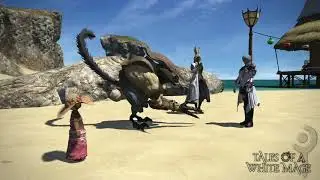Tales of a White Mage | FFXIV Patch 5.3 | Moonfire Faire 2020
