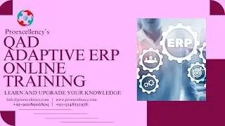QAD Adaptive ERP Training: High-Salary ERP Consultant Roles Await!