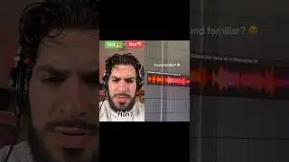 Majed rates Hollywood Funk