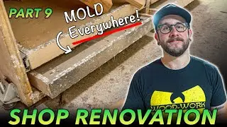 WORKSHOP RENOVATION PART 9 : Trim, Mold Remediation & Paint Prep