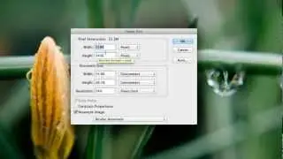 Photoshop: How to Resize an image (TUTORIAL)