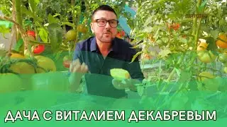 Дача с Виталием Декабревым Сезон 3 / Выпуск 6