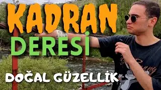 Türkiyeyi geziyorum | EN GÜZEL VADİ , KADRAN DERESİ | DOĞAL KAYNAK|  BİNGÖL