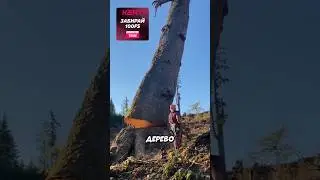 Смотрите до конца!😰 (🎥: @drtreepopper on TT)