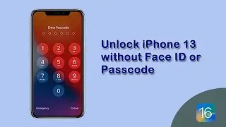 4 Ways to Unlock Your iPhone 13 without Face ID or Passcode  [iOS 16 Supported]