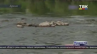 Сильное загрязнение рек выявили в Новосибирской области