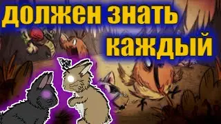 Всё о кроликах из Dont Starve Together