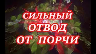 Сильный Отвод от порчи!🧨