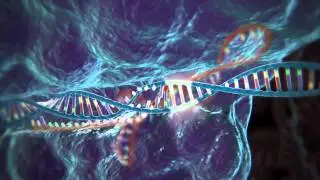 Genome Editing with CRISPR-Cas9