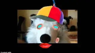 Snoop wolf