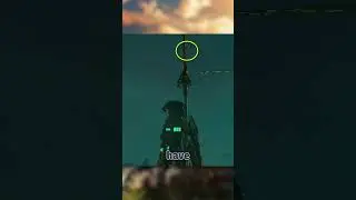 Zelda Korok Torture