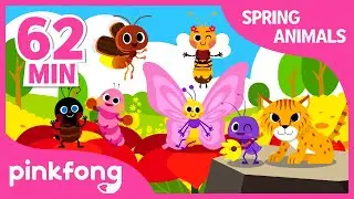 Animals and Bug Songs | +Compilation | Spring Songs | Pinkfong Songs for Children