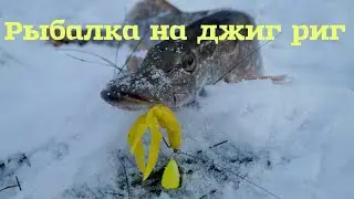 Рыбалка на джиг риг, техника, нюансы.