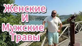 Женские и мужские травы лечение. www.medbka.ru