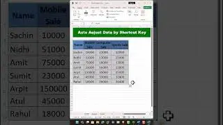 Auto Adjust Data By Shortcut trick.