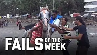 Horsing Around: Fails of the Week (August 2020)