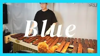 Eiffel 65 - Blue (Da Ba Dee) (Marimba Cover)