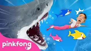 😱 Run Away from the Sharks! | Animal Song | Hoi's Playground | Pinkfong Baby Shark Kids Song