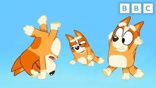 Bingo Shows Off How to Handstand | Bluey | CBeebies