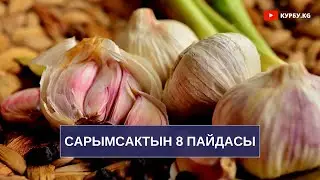 Сарымсактын 8 ПАЙДАСЫ