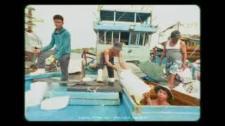 Rhythms of Viet Nam - Fishing Port