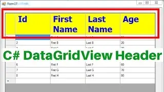 C# DataGridView Header Tutorial [ with source code ]