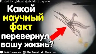 КАКОЙ НАУЧНЫЙ ФАКТ ИЗМЕНИЛ ВАШ ВЗГЛЯД НА ЖИЗНЬ?