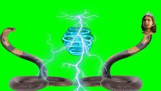 Nagin green screen video editing/ green screen Nagin video/ kinemaster editing