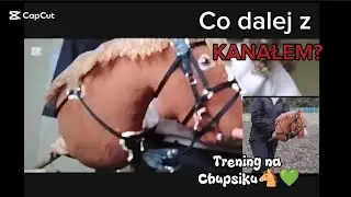 CO DALEJ Z KANAŁEM❓🐴🩷💚 trening na płasko z Chupa chupsem💚🩷