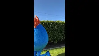 Who do you think won ?!