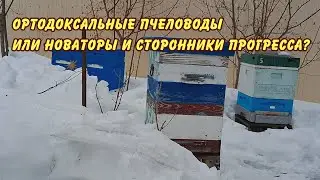 ЗИМОВКА ПЧЕЛ , ПЧЕЛОВОДСТВО О ГЛАВНОМ, ОРТОДОКСАЛЬНЫЕ ПЧЕЛОВОДЫ ИЛИ НОВАТОРЫ И СТОРОННИКИ ПРОГРЕССА?