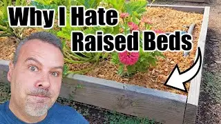 7 Downsides of Raised Bed Gardening