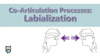 Co-Articulation Processes: Labialialization