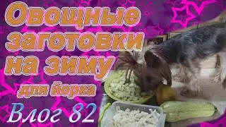 Овощи для йорка на зиму. Заготовки без нитрат и с экономией времени.