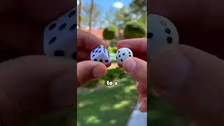 what circular dice look like