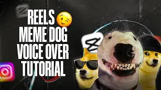 VIRAL REELS DOGE MEME AUDIO EFFECT TUTORIAL | TAMIL MEME TUTORIAL | DOG REELS MEME VOICE EFFECT