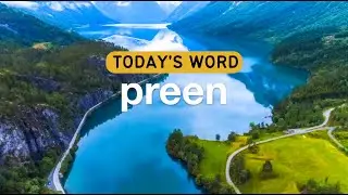 Todays Word - preen | Daily Inspiration | Word of The Day | Vocabulary Enrichment