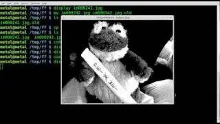 Imagemagick - Black and White and Negative - Tutorial - BASH - Linux