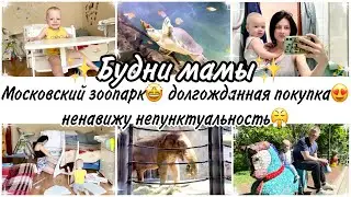 Продуктивные будни мамы✨Московский зоопарк🤩 МФ Кузя✨ненавижу непунктуальность😤😬