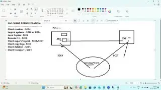 SAP Client Copy: Export & Import