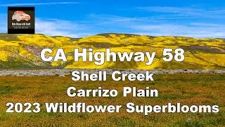 Discover the Hidden Gem of CA Highway 58 - You Won't Believe What's at Carrizo Plain and Shell Creek