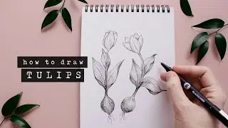 How To Draw Tulips | Floral Illustration For Beginners