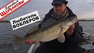 С ВОБЛЕРАМИ минноу И ЛОДКОЙ за хищником НА осеннее ВОДОХРАНИЛИЩЕ. Как надежно 