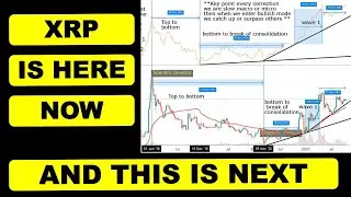 XRP POTENTIAL; MAJOR XRP PRICE UPDATE; BULLISH PROOF FOR XRP HOLDERS; RIPPLE XRP NEWS ; XRP update