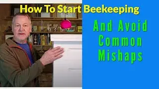 How To Start Beekeeping And Avoid Common Mishaps