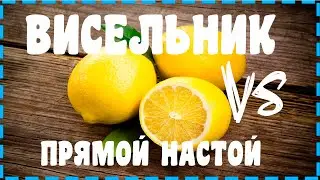 ВИСЕЛЬНИК ПРОТИВ УТОПЛЕННИКА ЧАСТЬ 2!!!