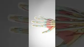 POV: What your thumb joint is doing, right now. 