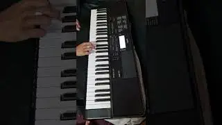 Radha ne shyam mali jashe full song with keyboard by bhavya shah